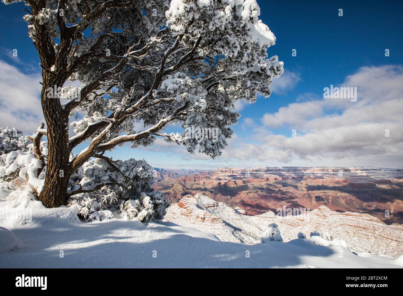 Le Parc National du Grand Canyon en hiver, Arizona, USA Banque D'Images