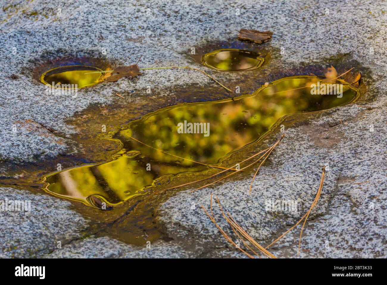 Roche de ponte située dans le village indien de l'Ahwahnee, maintenant remplie d'eau de pluie, mais utilisée à l'origine par les Miwok pour meuler les glands de Black Oak Banque D'Images