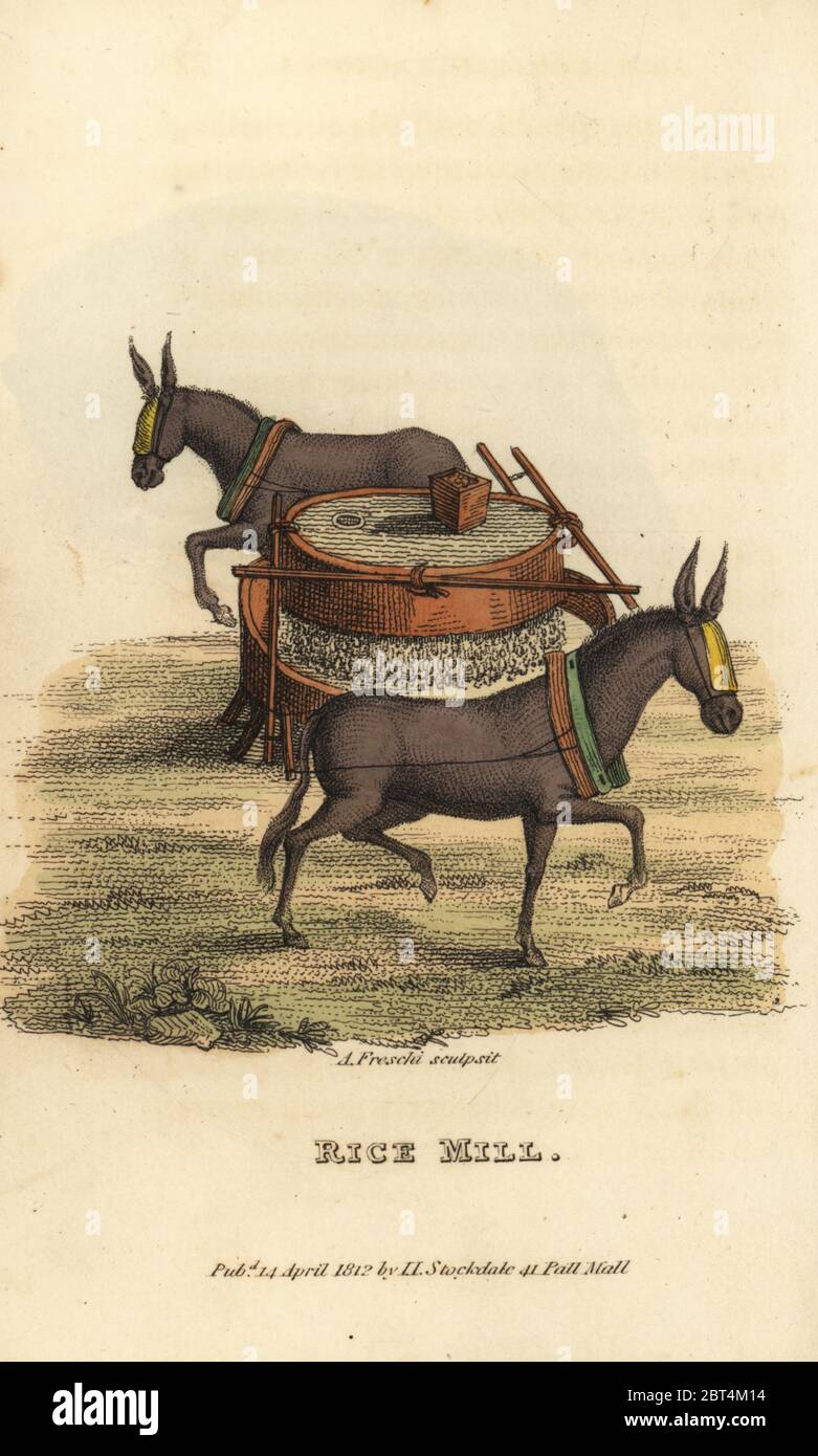 Moulin à riz chinois avec une meule tournant les yeux bandés mules, Dynastie Qing. La gravure sur cuivre coloriée par Andrea Freschi après Antoine Cardon de Henri-Leonard-Jean-Baptiste Bertin et Jean Baptiste Joseph Breton's la Chine, ses costumes, Arts, Manufactures, etc., Howlett et Brimmer, Londres, 1824. Banque D'Images