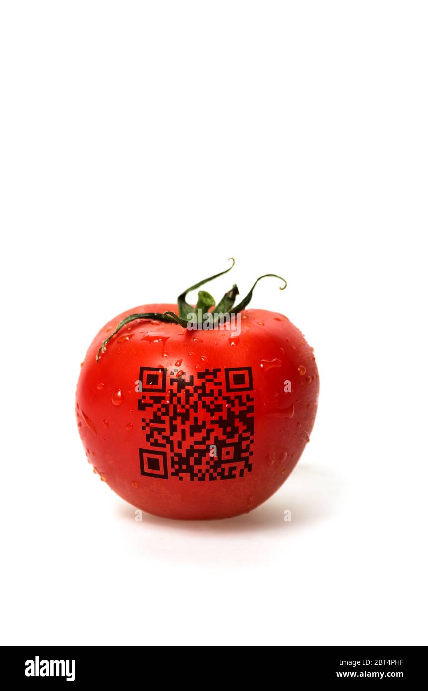 Tomate mit QR Code Banque D'Images