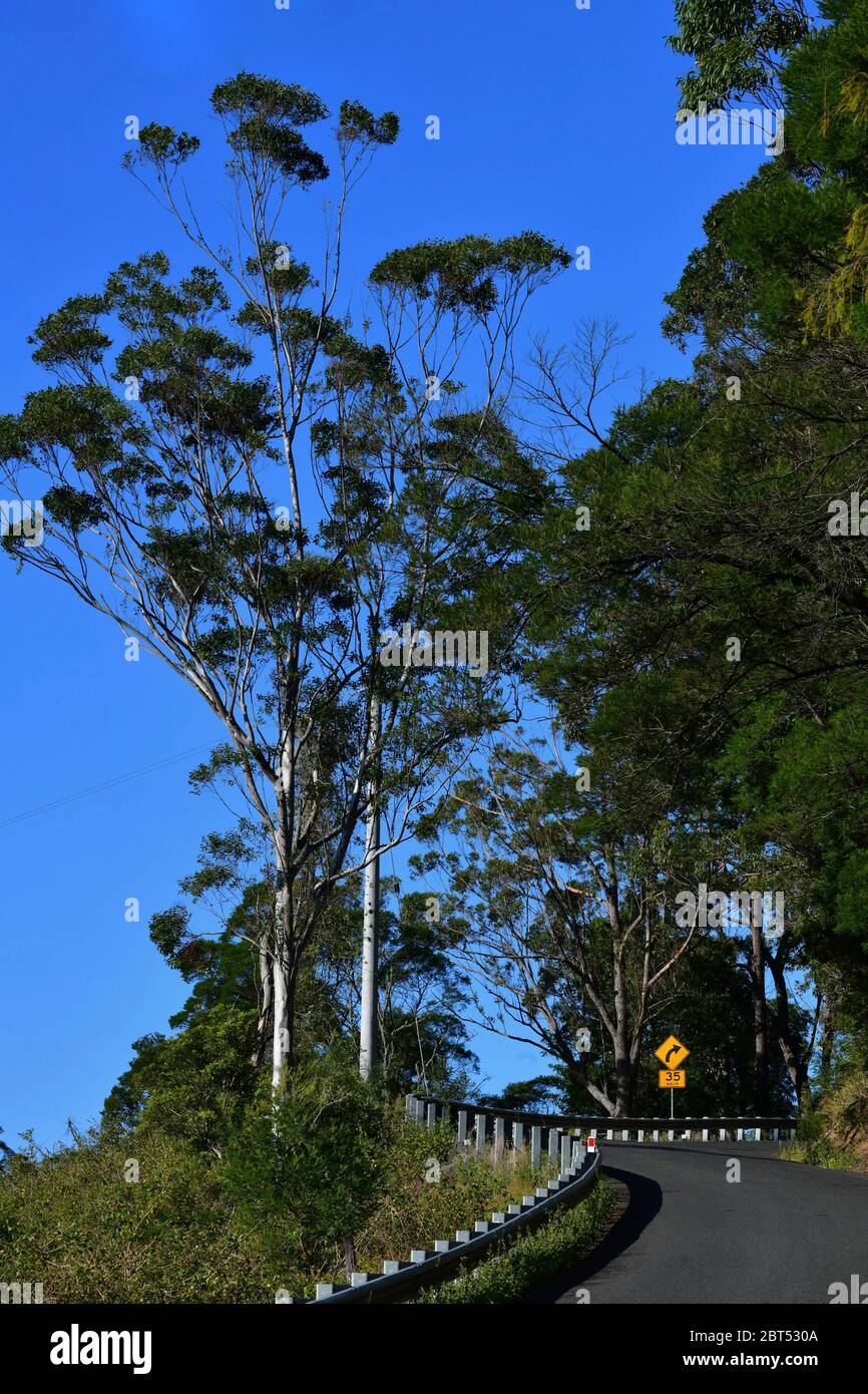 Une route sinueuse près de Kangaroo Valley au sud de Sydney, en Australie. Banque D'Images