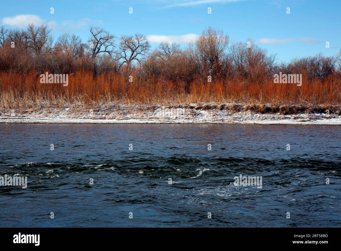 MT00532-00...MONTANA - Madison River près de sa confluence avec la Jefferson River dans le parc national Missouri Headwaters. Banque D'Images