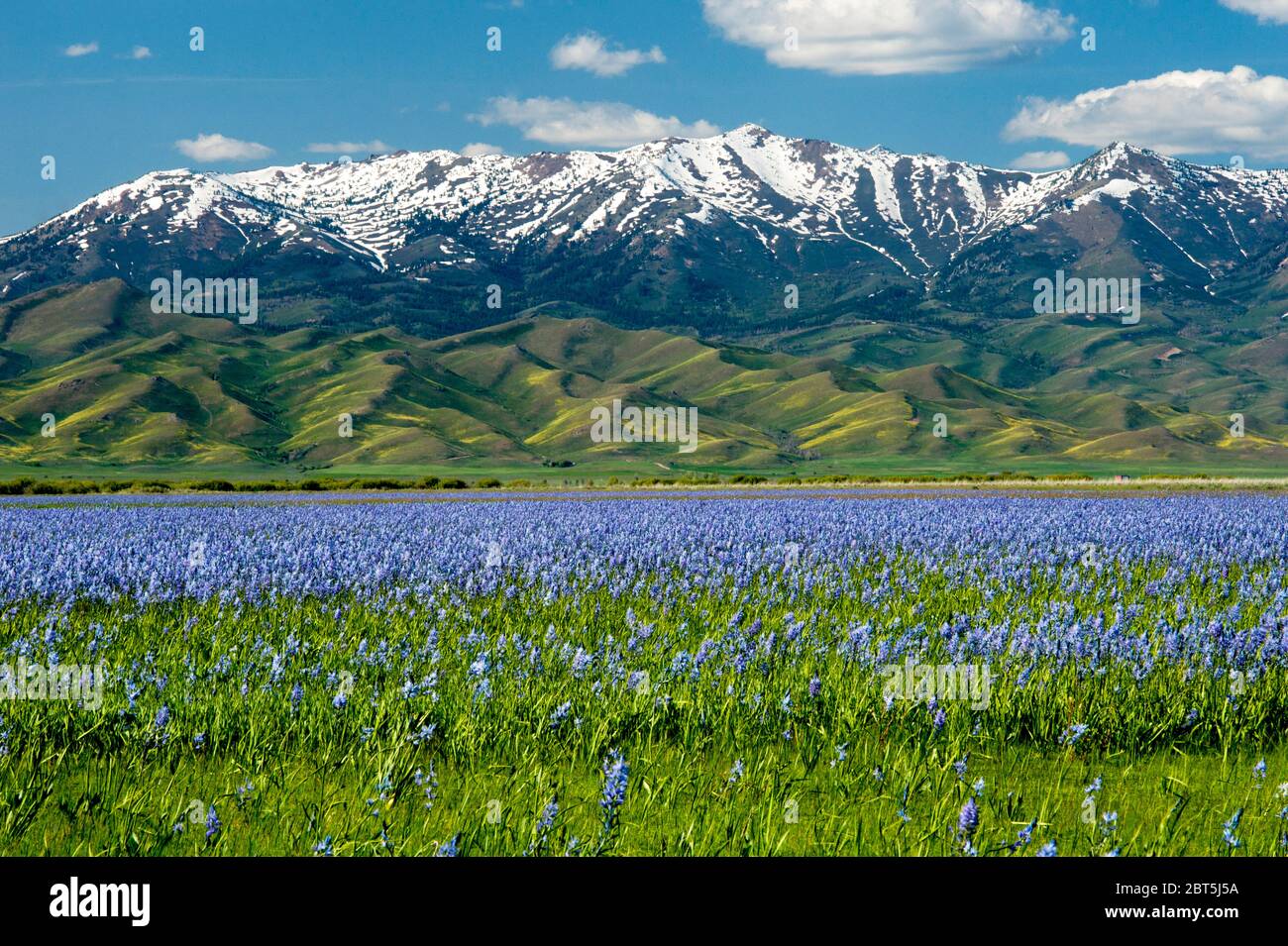 Soldier Mountain au-dessus de la prairie camas dans Camas Prairie, comté de Camas, Idaho, États-Unis Banque D'Images