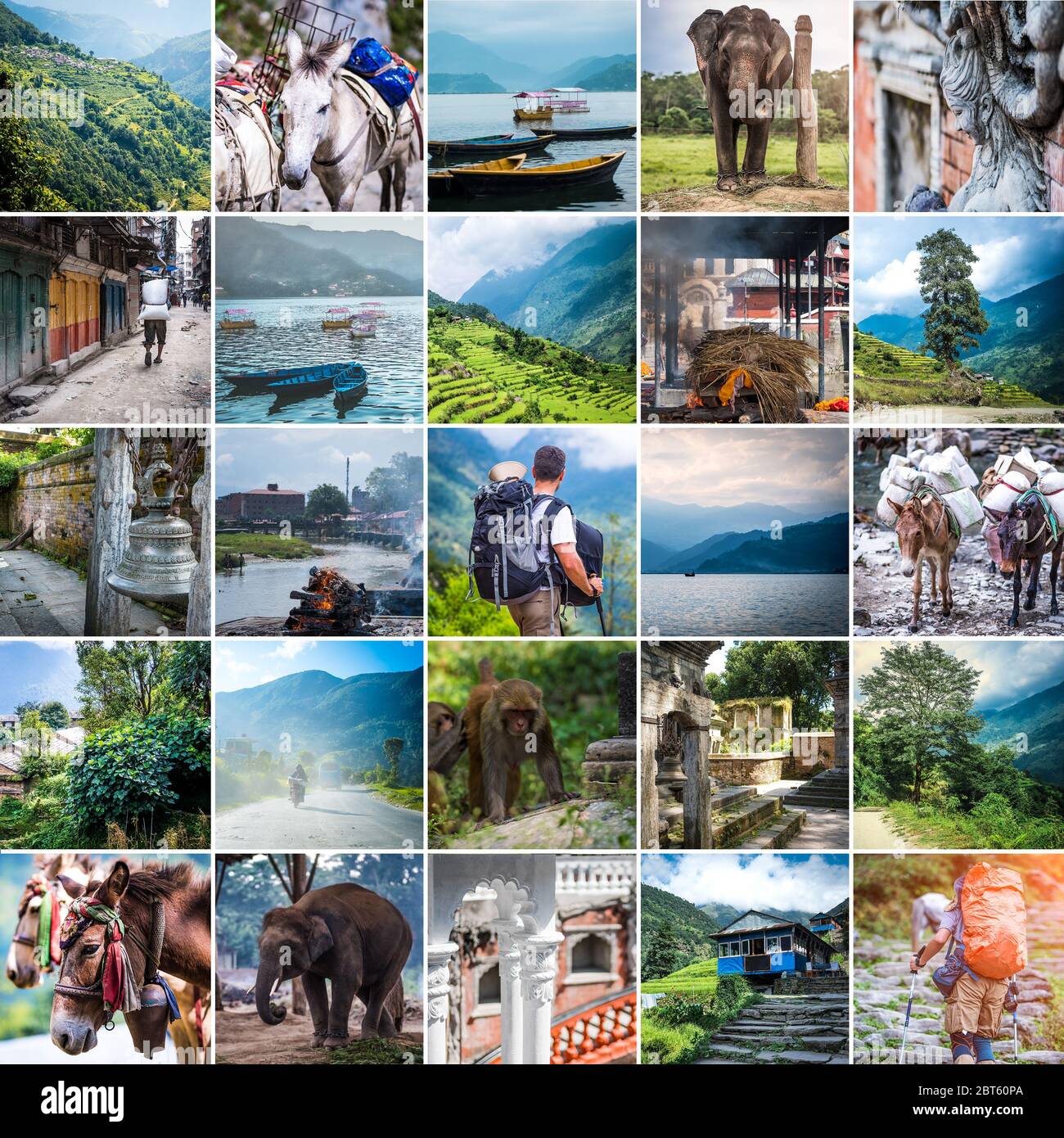 Collage de vues difféentes sur le Népal Banque D'Images