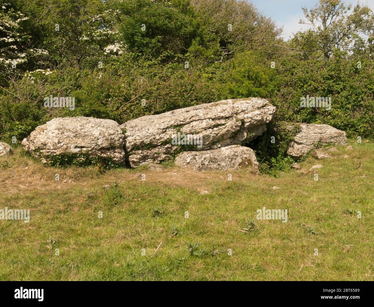 Chambre Burial de Coed y Glyn Monument mégalithique néolithique. Vestiges de la chambre funéraire au bord d'une terrasse en calcaire sur l'île Benllech d'Anglesey Banque D'Images
