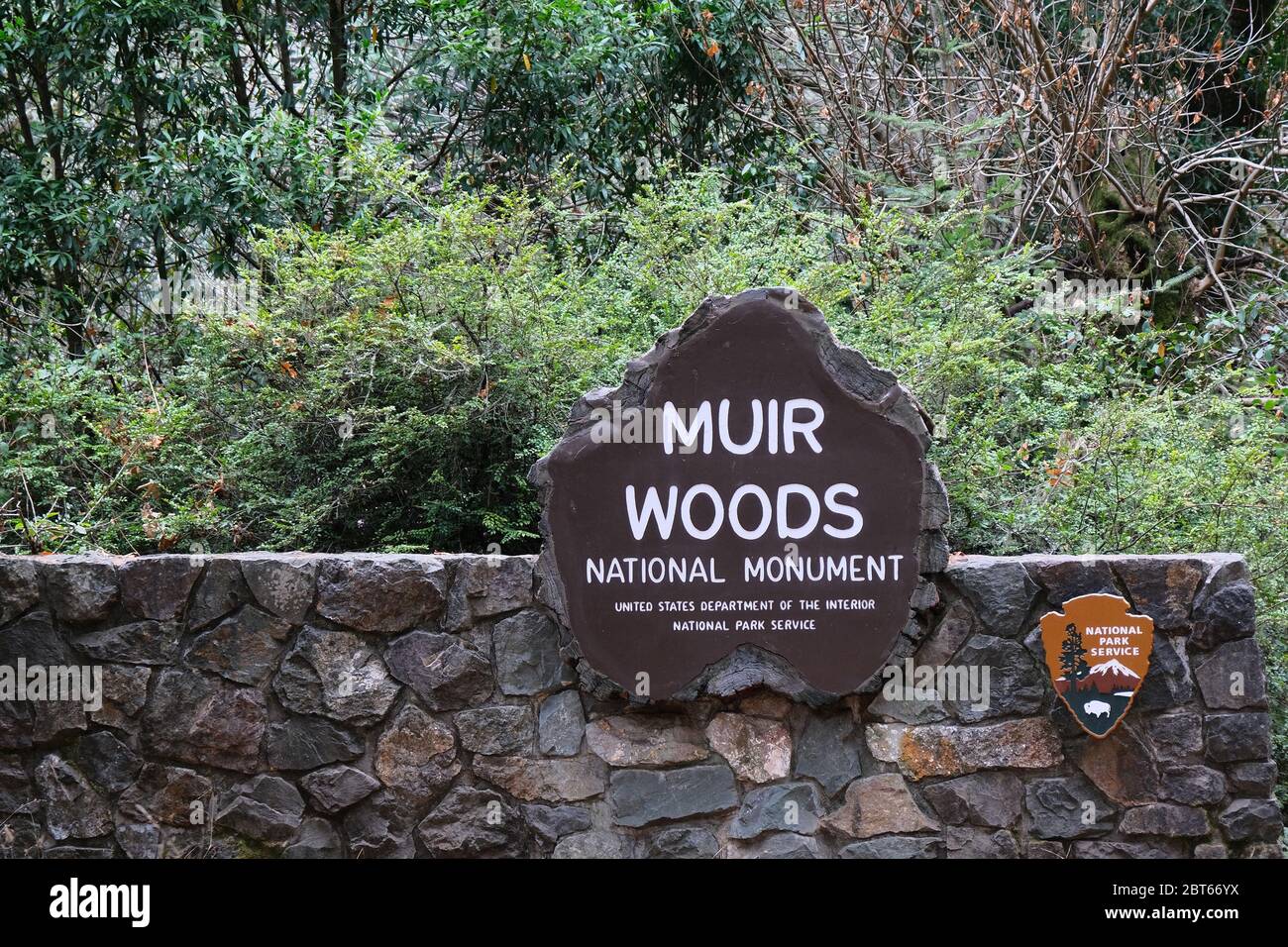 SAN FRANCISCO, CALIFORNIE - 12 novembre 2019 : le monument national de Muir Woods est un monument national des États-Unis géré par le National Park Service, Banque D'Images