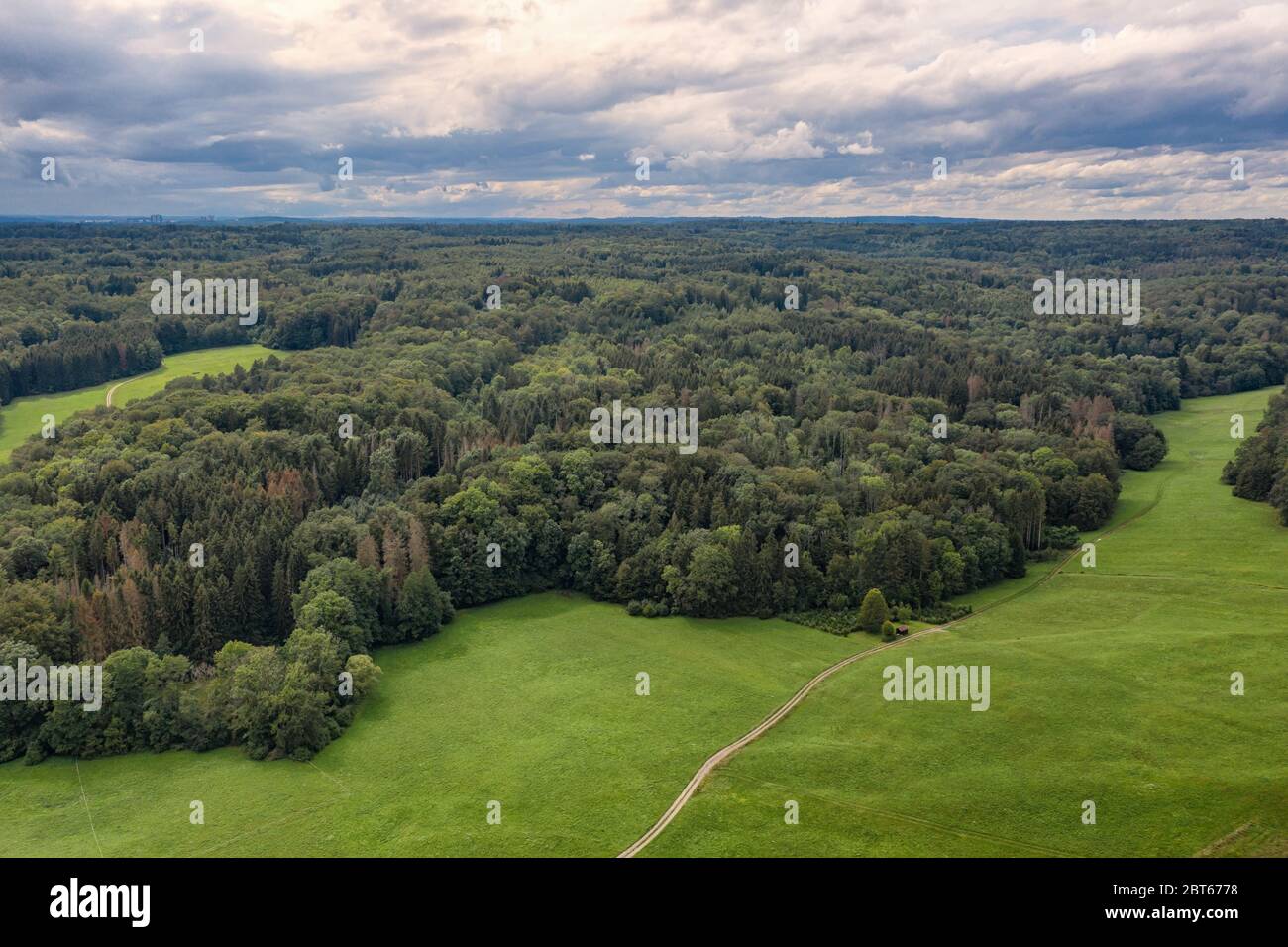 Vue aérienne du bord de la forêt en Allemagne Banque D'Images