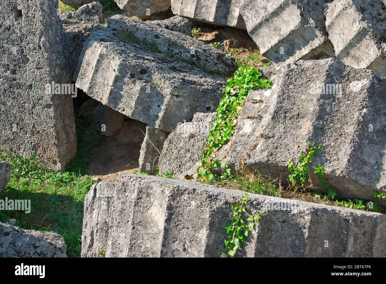 Ruines antiques du Temple de Zeus à Olympia, Grèce. Vue détaillée d'une colonne interrompue. Le site des Jeux Olympiques anciens est situé sur le Péloponne Banque D'Images