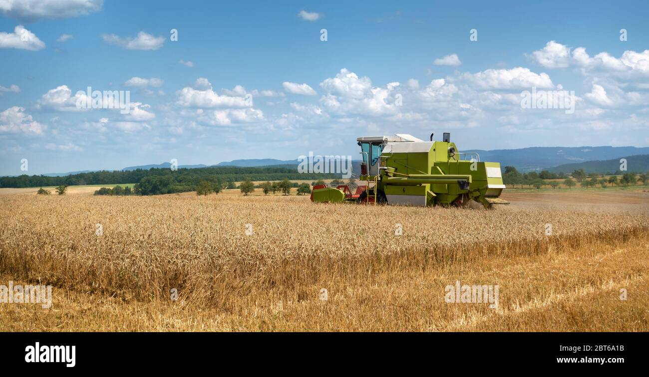 Moissonneuse-batteuse lors de la récolte d'un champ de céréales de blé Banque D'Images