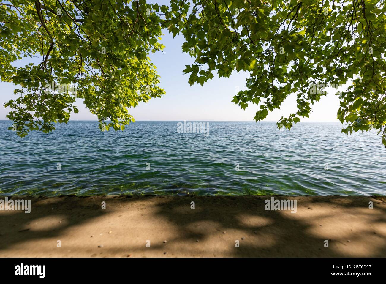 Belle vue sur le lac de Constance à rorschach, suisse, avec arbre suspendu Banque D'Images