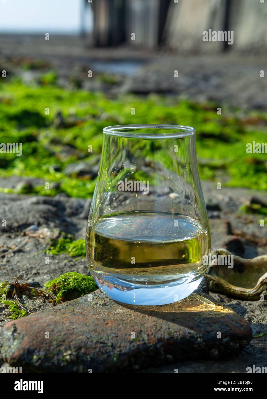 Dégustation de whisky écossais et de fond de la mer pendant la marée basse, whisky fumé associé aux huîtres Banque D'Images