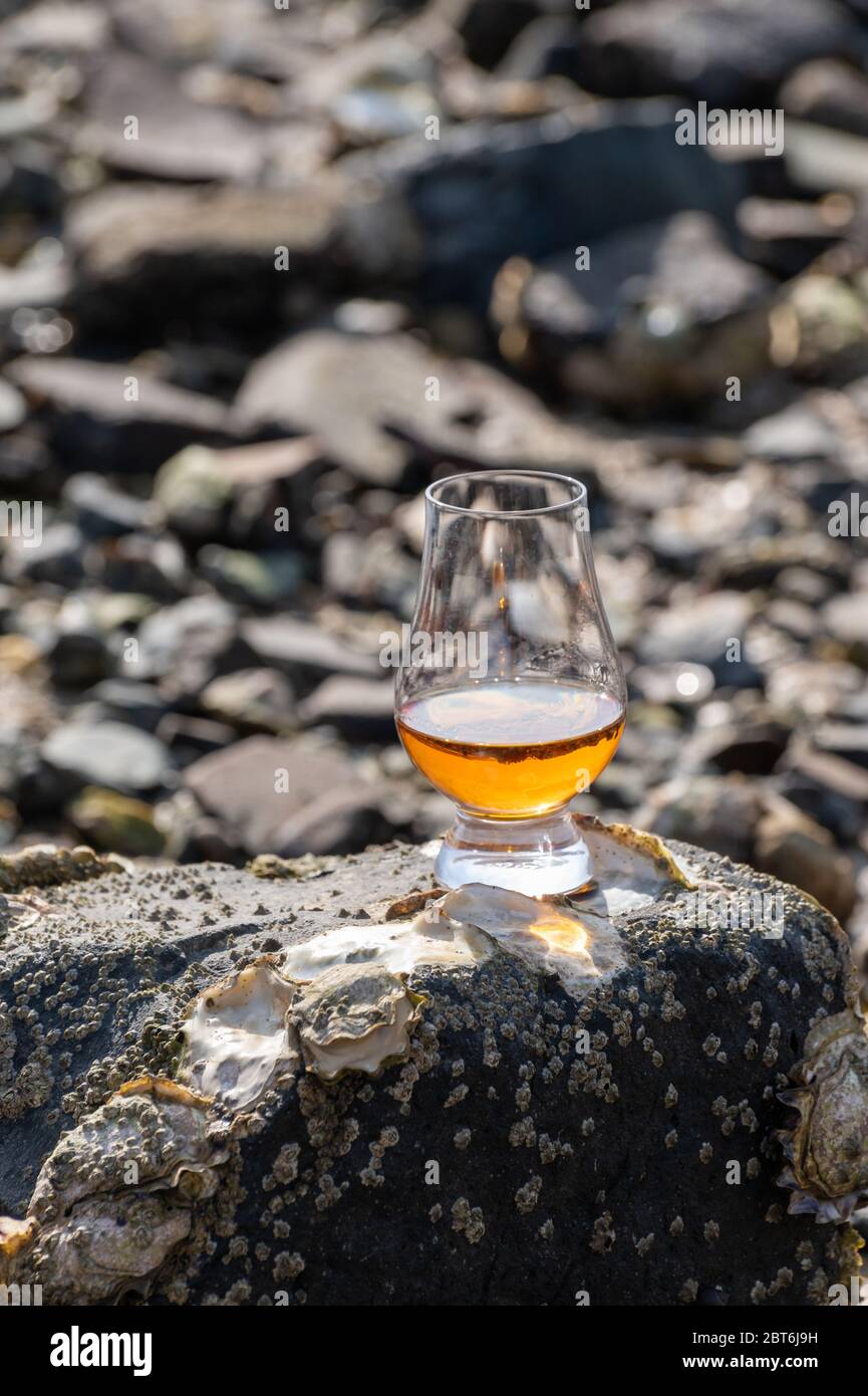 Dégustation de whisky écossais et de fond de la mer pendant la marée basse, whisky fumé associé aux huîtres Banque D'Images