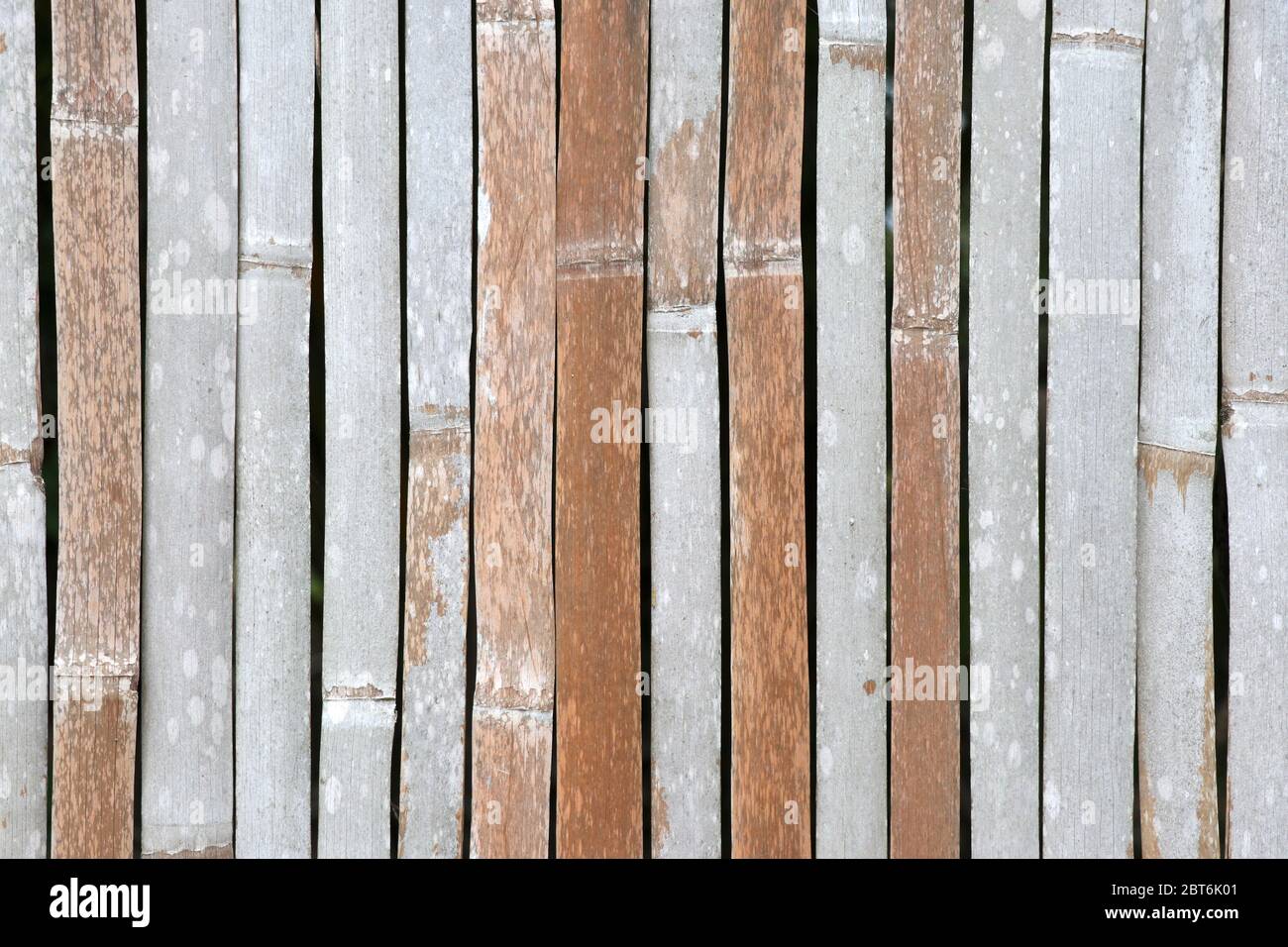 Arrière-plan vertical en bambou. Fond en bambou sec. Banque D'Images