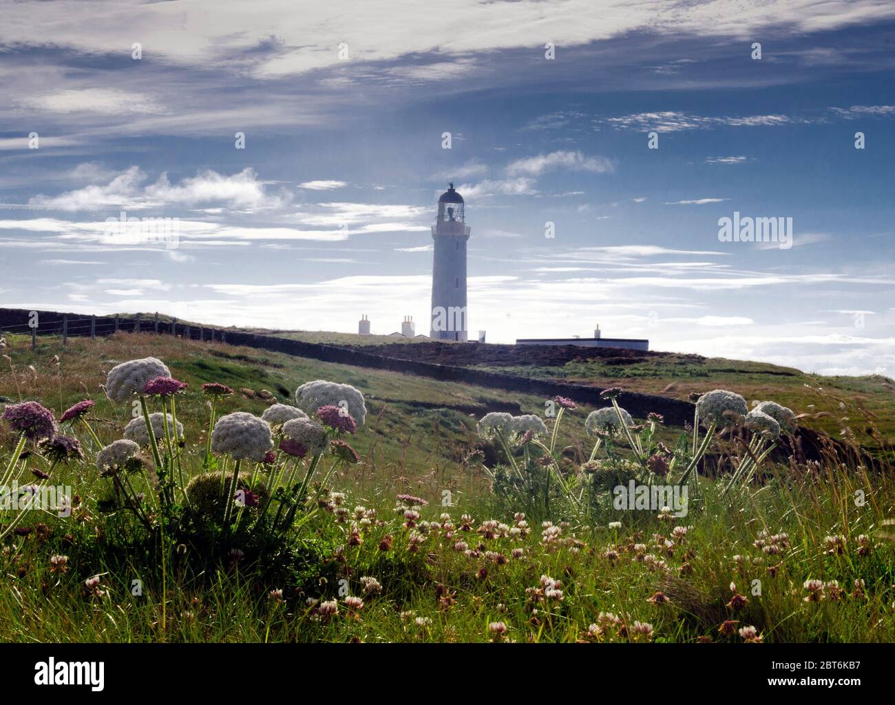 Mull de Galloway Phare et réserve naturelle Banque D'Images
