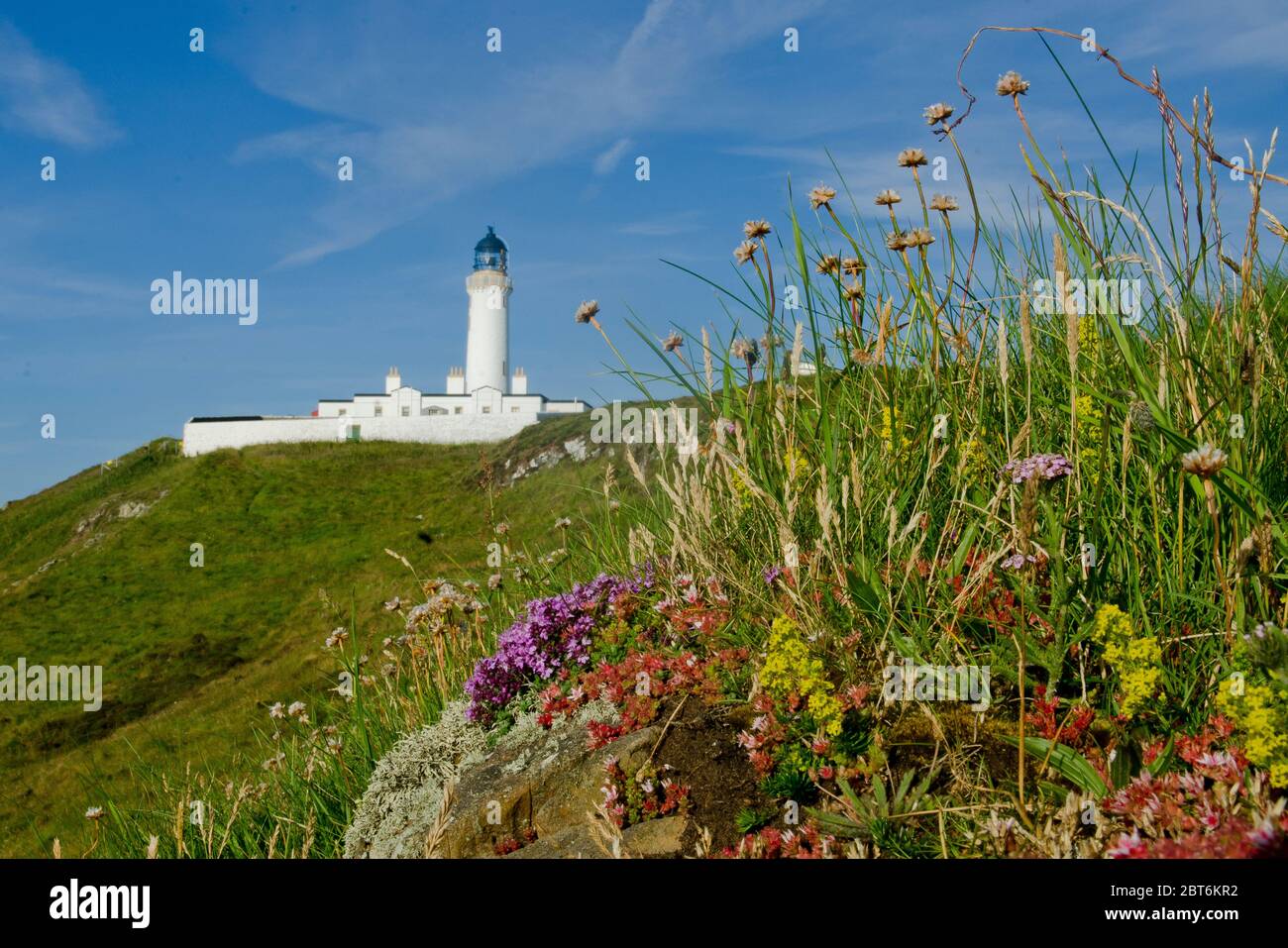 Mull de Galloway Phare et réserve naturelle Banque D'Images