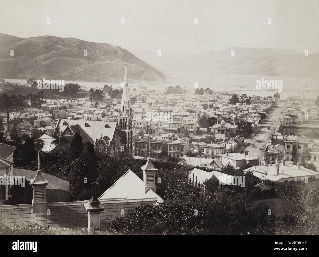 Photographie du XIXe siècle - vue sur la ville de Dunedin, Nouvelle-Zélande Banque D'Images