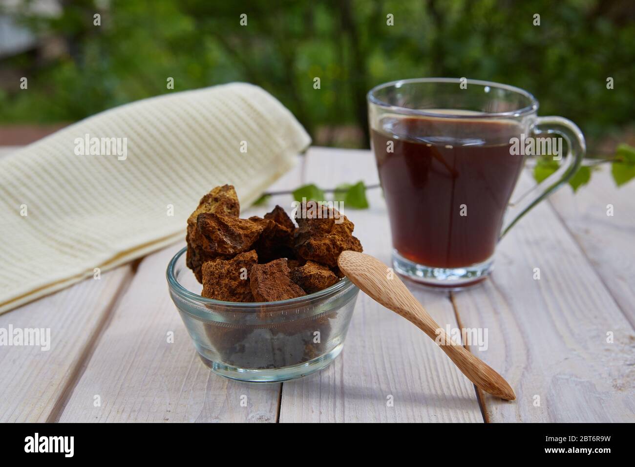 Champignons de chaga séchés et thé de chaga sur un blanc en bois tableau avec arrière-plan de forêt Banque D'Images