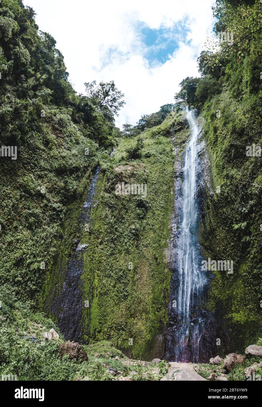 L'eau descend en cascade les falaises volcaniques vertes et mossy de la cascade de San Ramon sur l'île d'Ometepe, au Nicaragua Banque D'Images