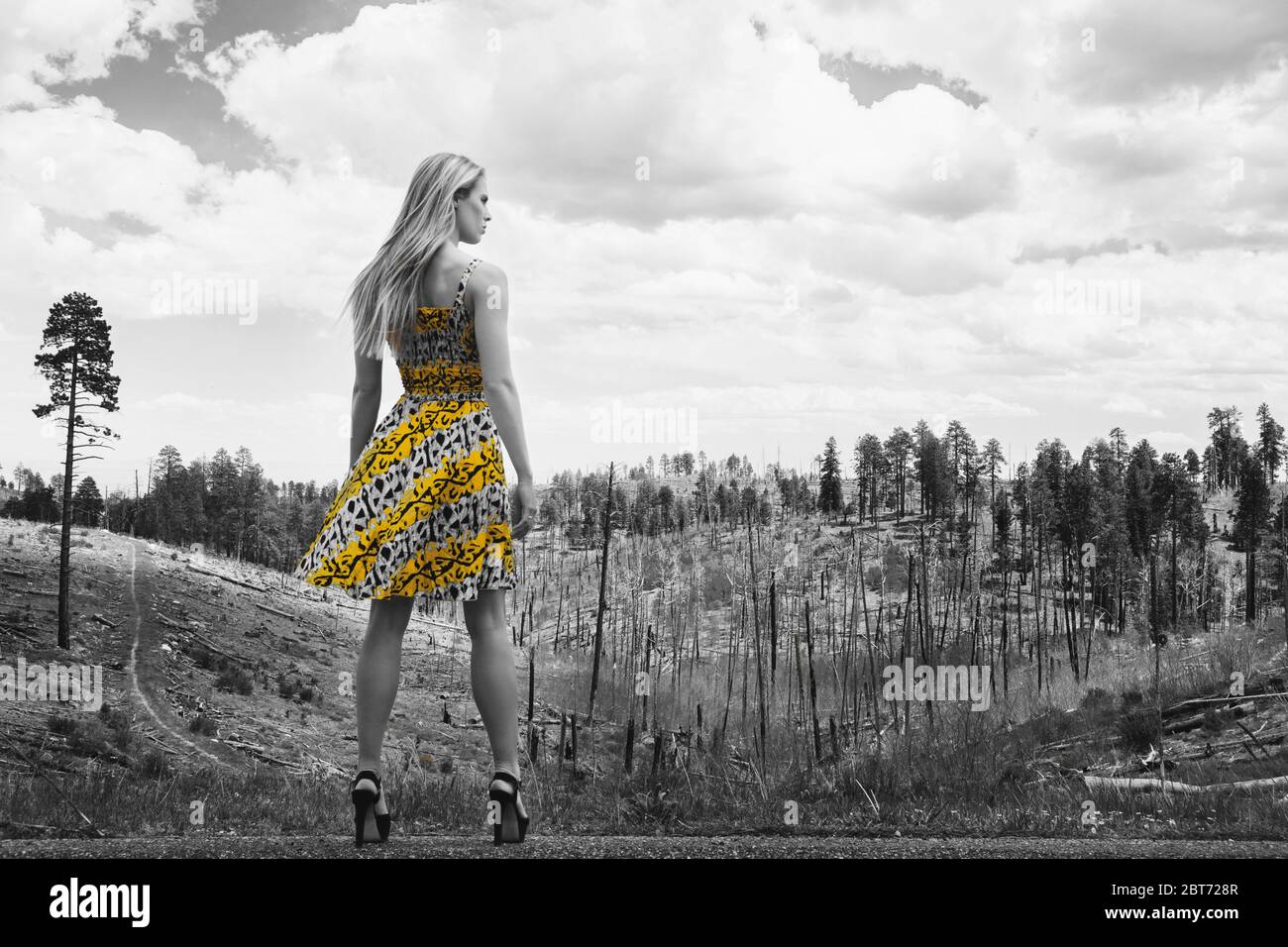 Jolie fille blonde regarde la forêt de Kaibab en Arizona, aux États-Unis; elle porte une robe d'été légère, qui est soufflée dans le vent. Banque D'Images