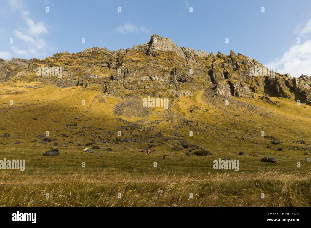 Vue sur la nature en Islande. Montagnes Banque D'Images