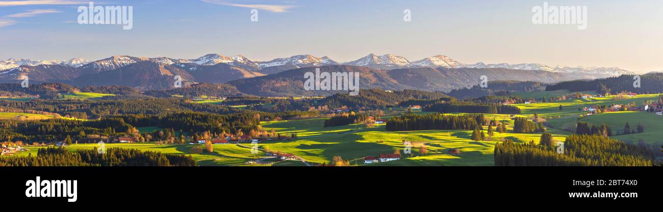 Panorama du paysage d'Allgäu avec montagnes, prairies et forêt au printemps. Bavière, Allemagne Banque D'Images