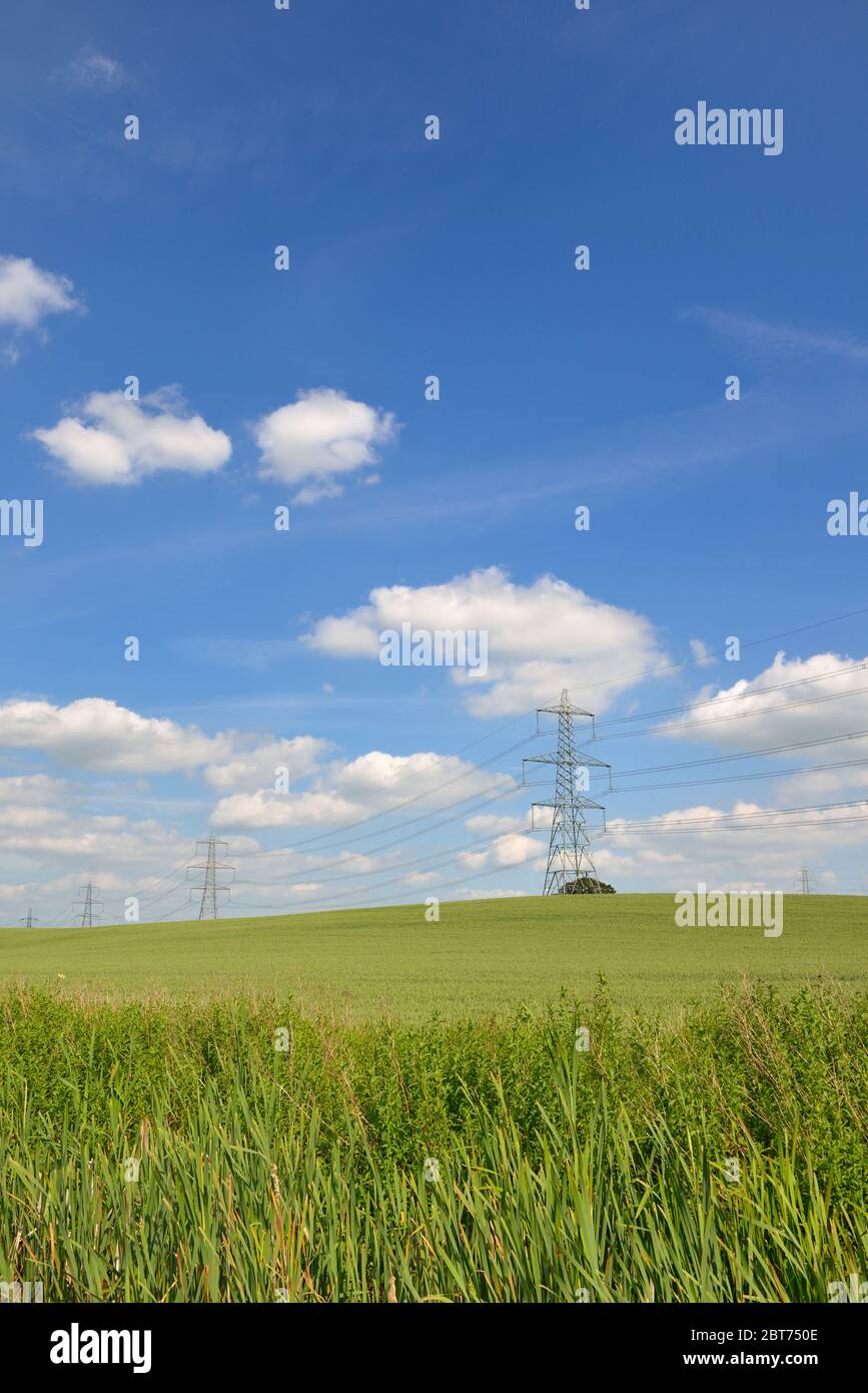 Électricité lignes aériennes de transport d'électricité dans les champs verts, Warwickshire / Leicestershire, Midlands, Royaume-Uni Banque D'Images