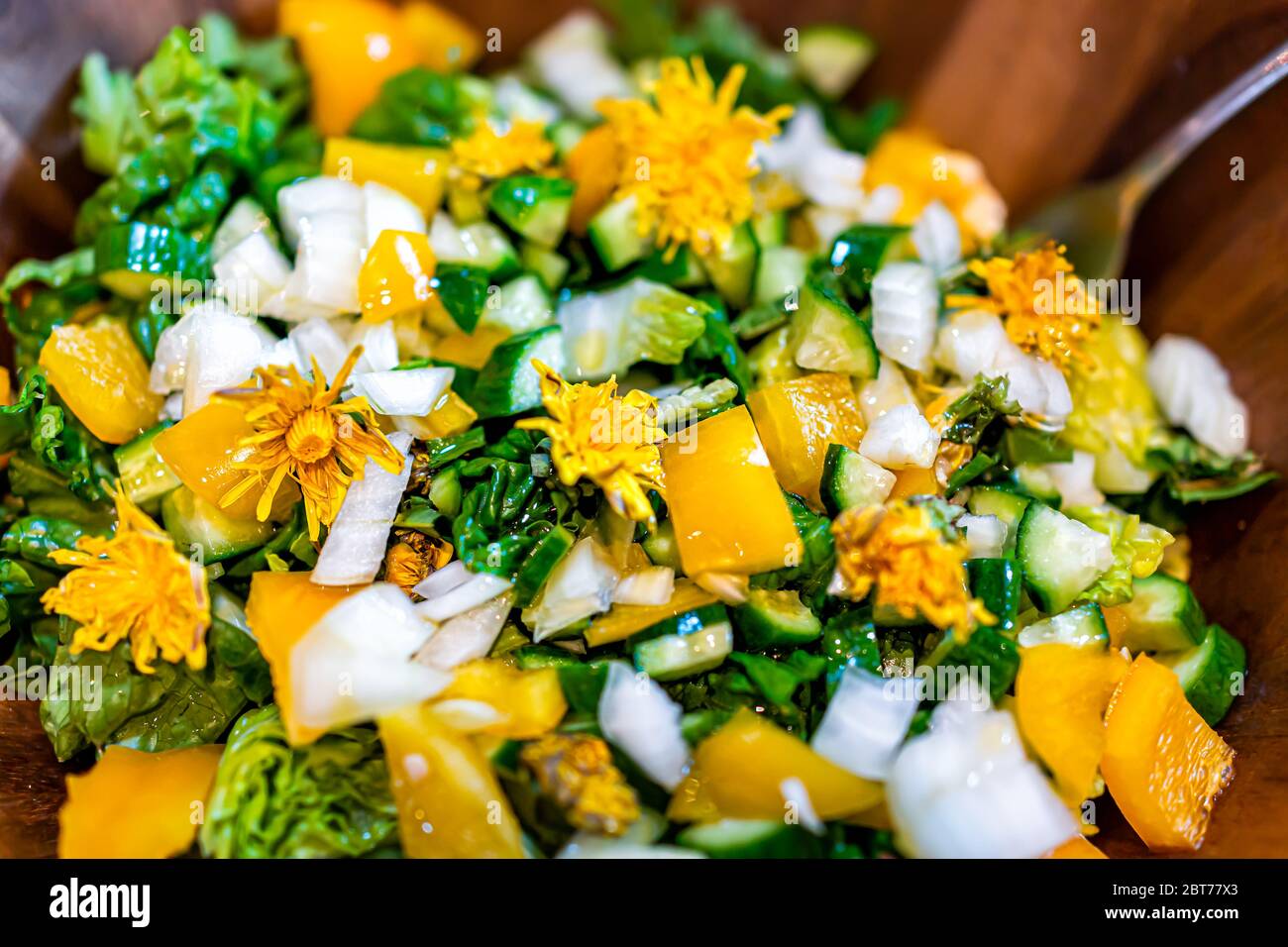 Gros plan macro de salade de légumes hachés crus avec fleurs de pissenlit, verts, poivrons jaunes et fourchette en laitue montrant la texture Banque D'Images