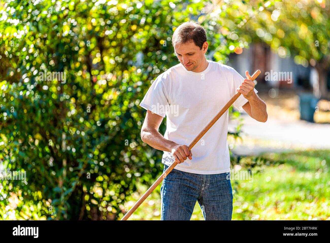 Personne propriétaire homme dans jardin cour arrière raking automne feuilles debout avec rake regardant vers le bas en automne soleil dehors Banque D'Images