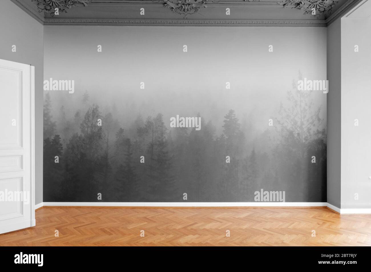 chambre vide avec parquet et papier peint imprimé photo Banque D'Images