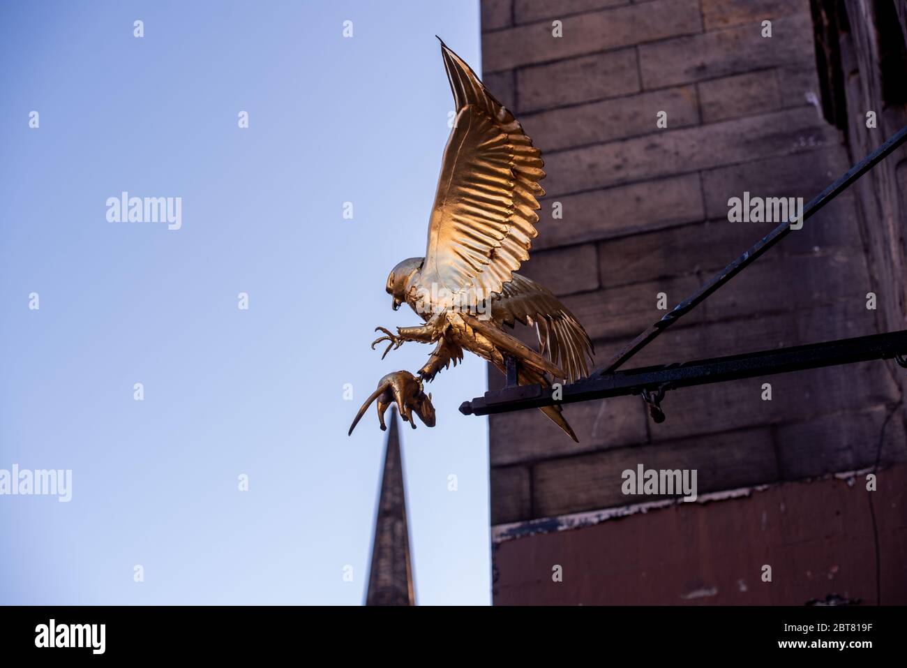 Sculpture Golden Hawk à Gladstones Land Lawnmarket Édimbourg Banque D'Images