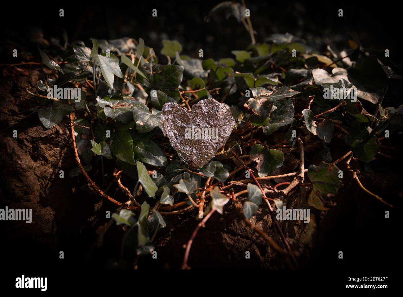 Coeur d'amour de feuille d'argent trouvé dans le domaine de Calton Hill Édimbourg pendant le confinement à l'été 2020 Banque D'Images