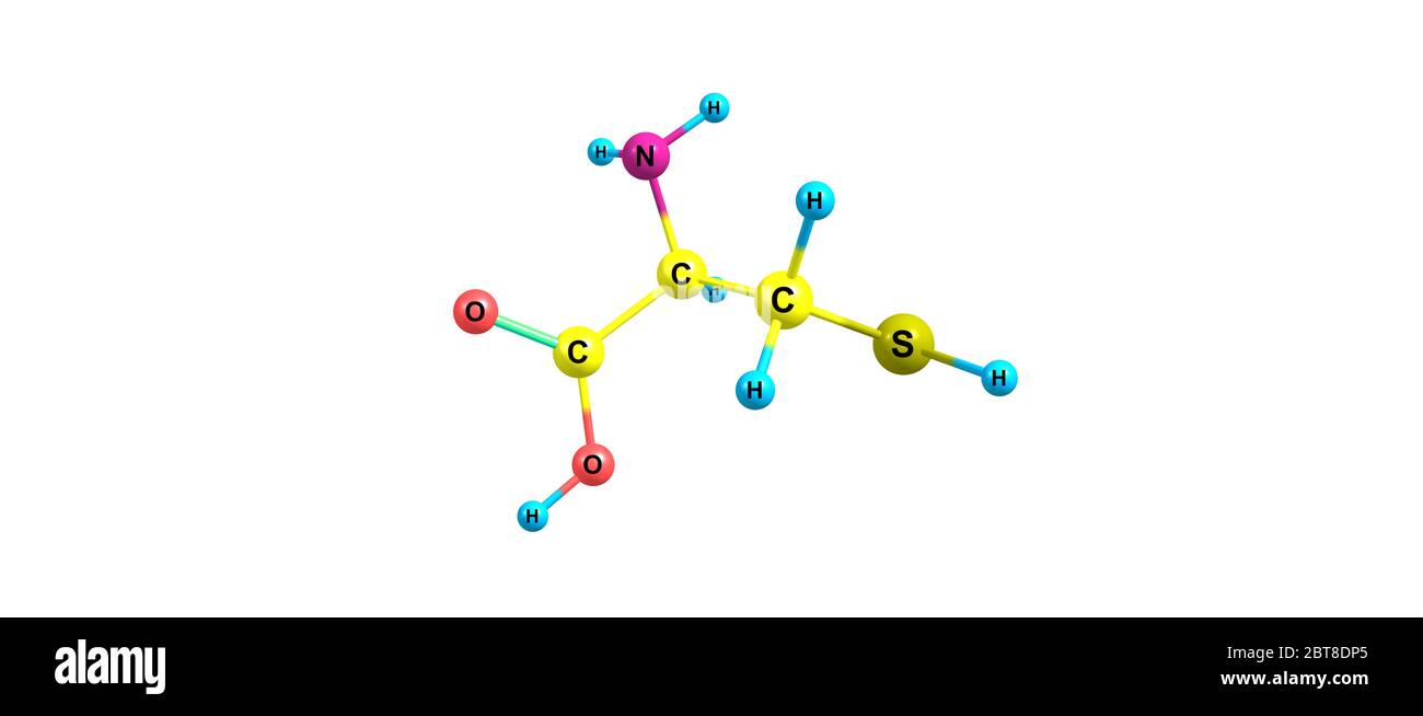 La cystéine ou Cys est un acide aminé protéinogène semi-essentiel dont la formule est HO2CCHNH2CH2SH. illustration 3d Banque D'Images