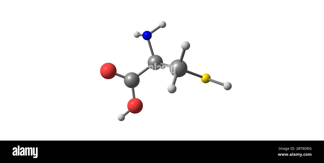 La cystéine ou Cys est un acide aminé protéinogène semi-essentiel dont la formule est HO2CCHNH2CH2SH. illustration 3d Banque D'Images