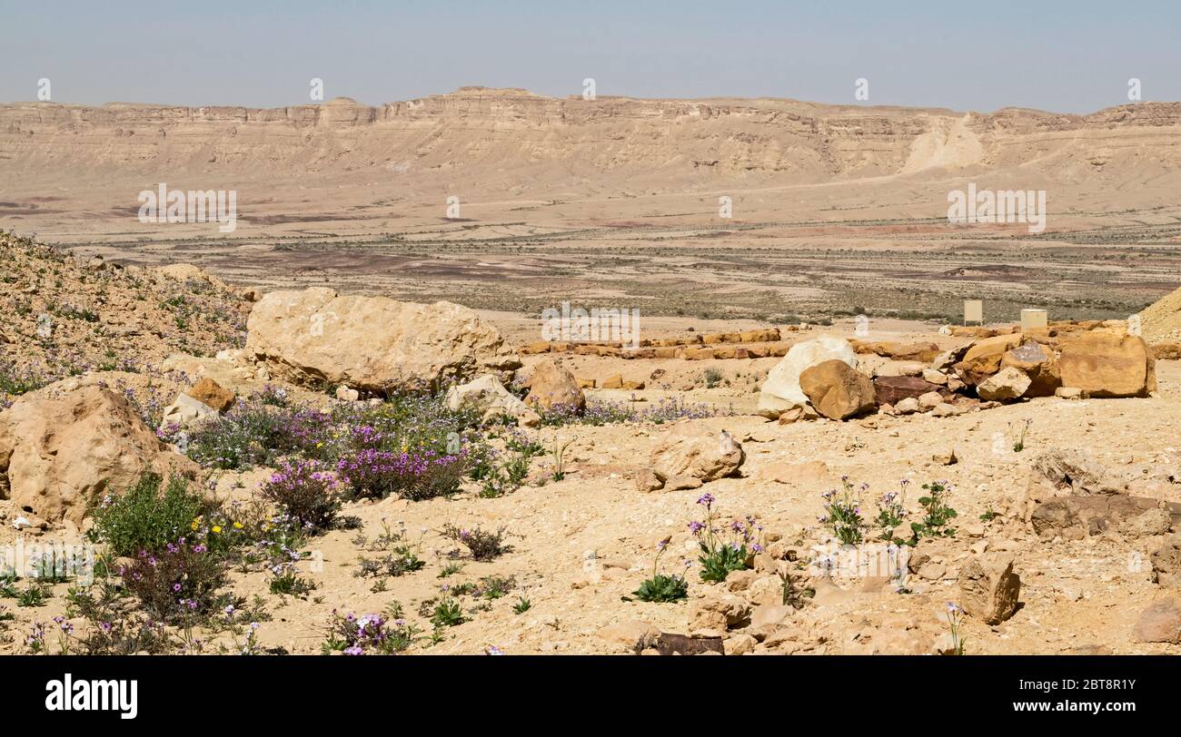 vue depuis la base de Harut Hill en regardant vers le nord la vallée de Makhmal et l'ancienne route de pipeline montée dans le cratère de makhtesh ramon en israël Banque D'Images