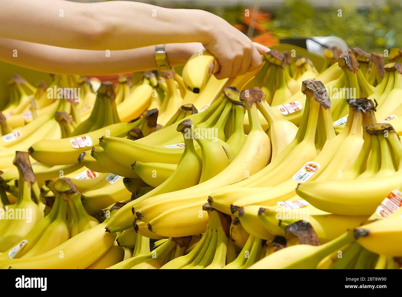 Mouvement de la main de femme cueillant des bananes à l'intérieur du magasin supérieur Banque D'Images