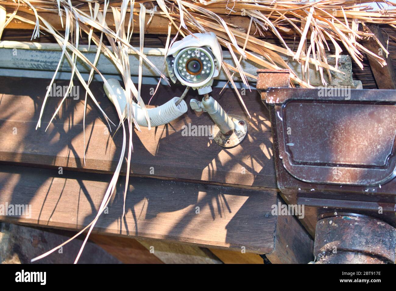 Cette photo unique montre une caméra cachée sous un toit en chaume pour surveiller la zone et assurer la sécurité Banque D'Images