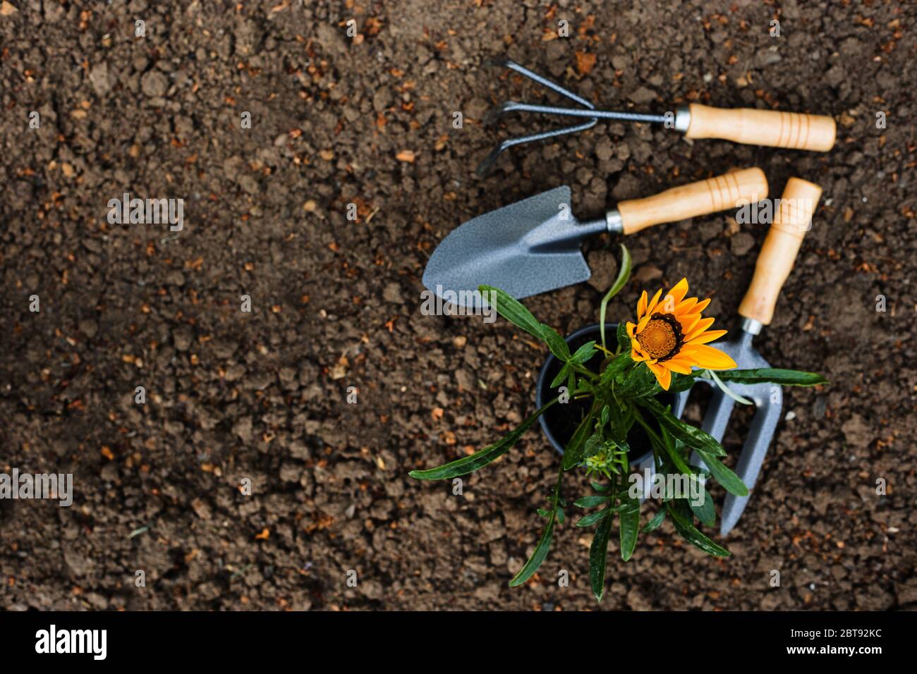Outils de jardin sur le sol dans le jardin. Le concept de l'agriculture, la croissance des plantes, les semis plantés dans le sol. Gardering Banque D'Images