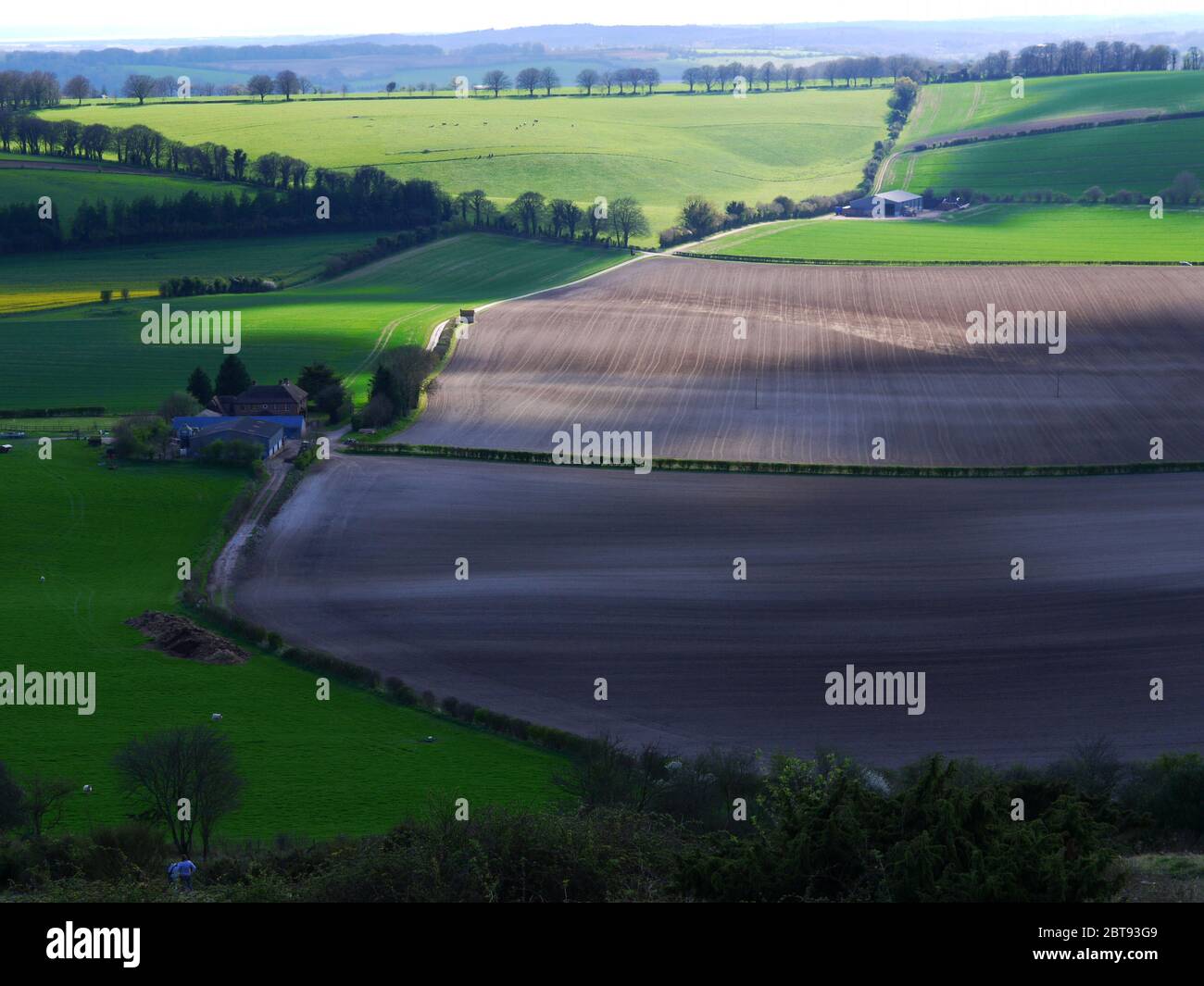 Old Winchester Hill, Hampshire, Royaume-Uni. Banque D'Images