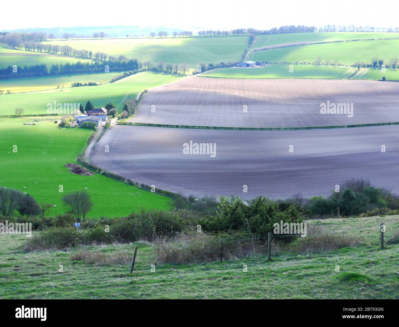 Old Winchester Hill, Hampshire, Royaume-Uni. Banque D'Images