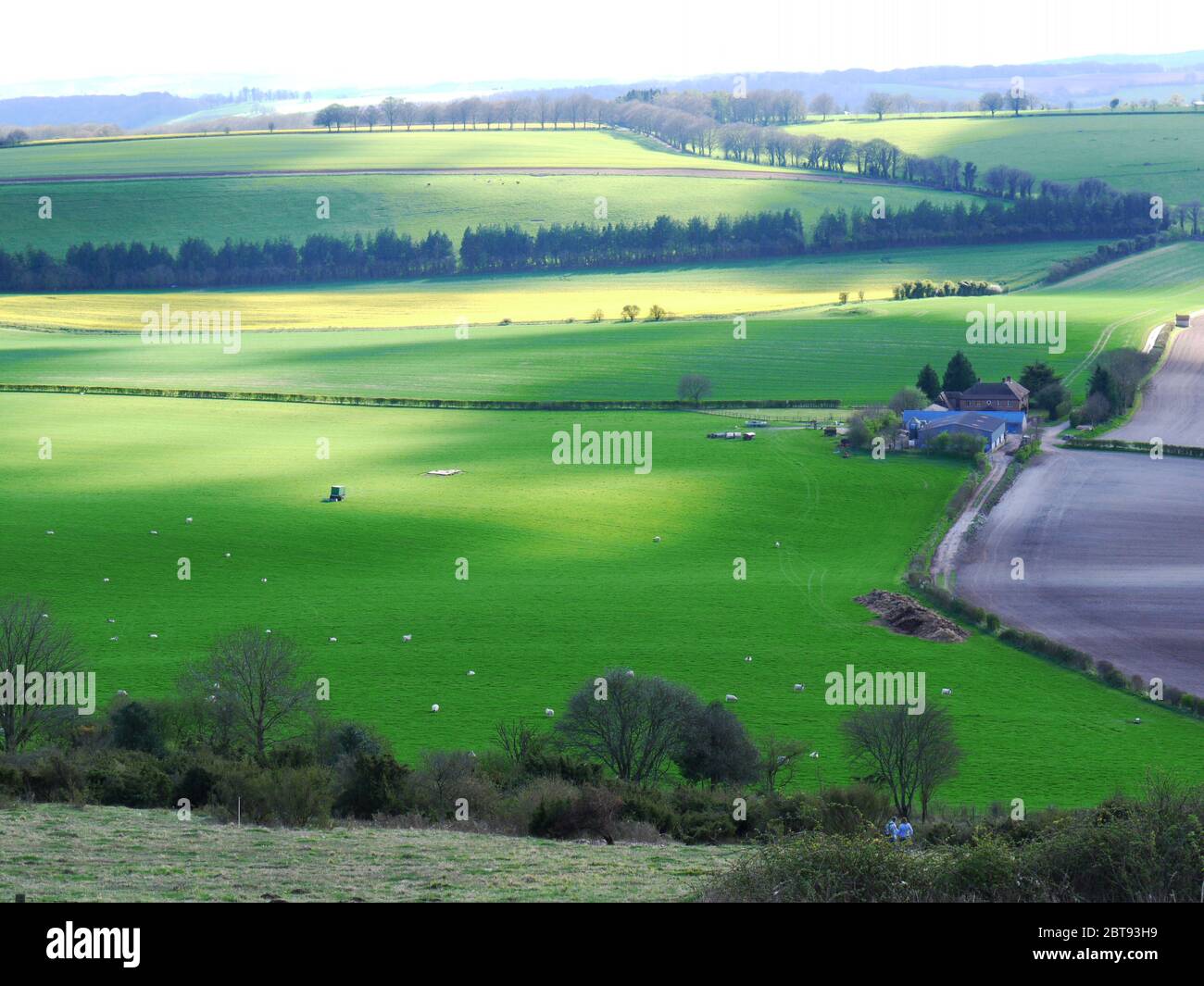 Old Winchester Hill, Hampshire, Royaume-Uni. Banque D'Images