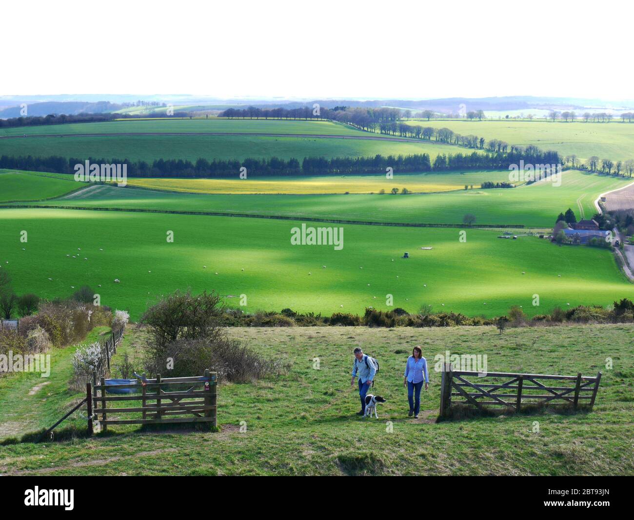 Old Winchester Hill, Hampshire, Royaume-Uni. Banque D'Images