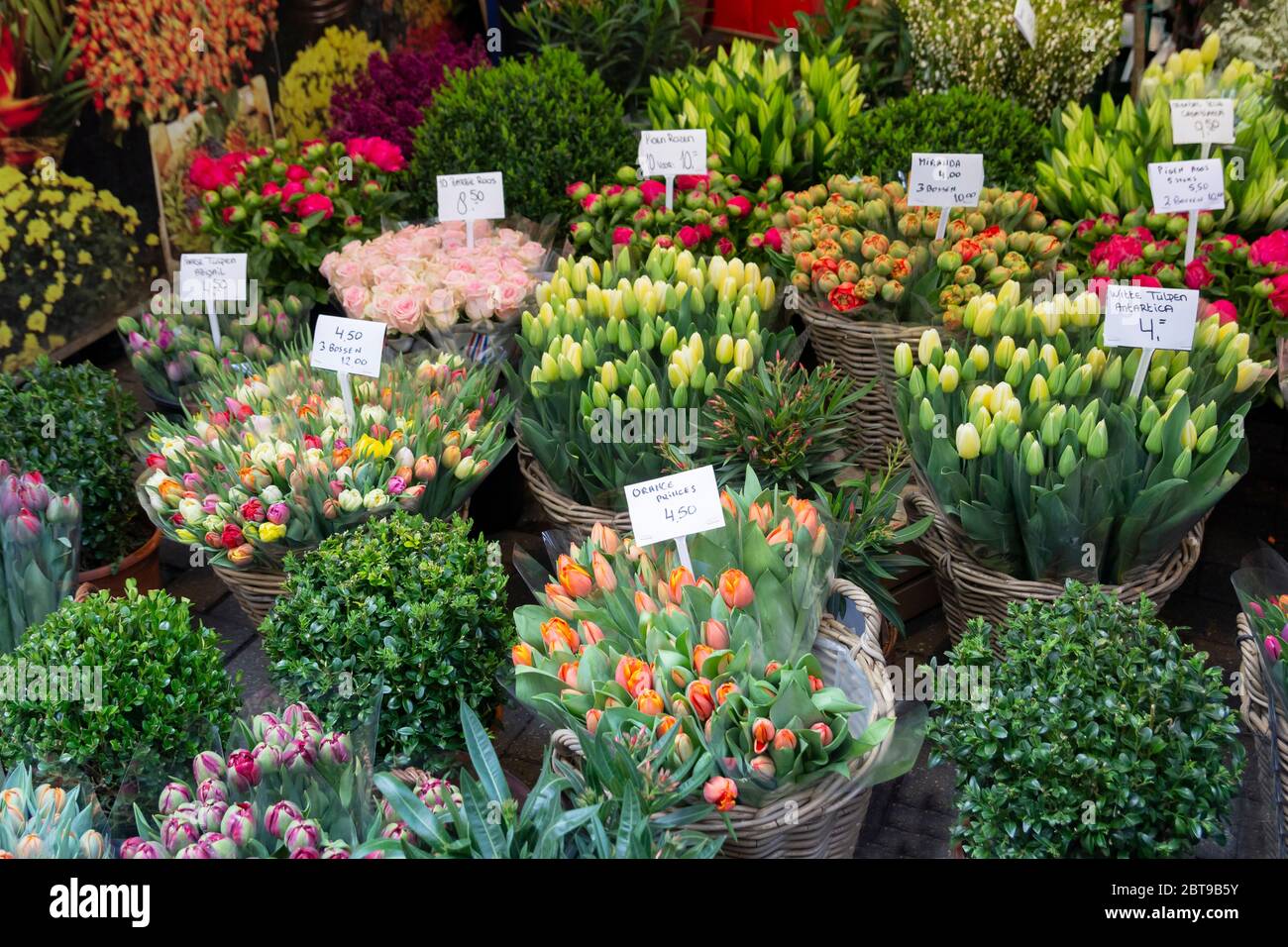 Tulipes colorées en vente sur le marché aux fleurs d'Amsterdam Banque D'Images