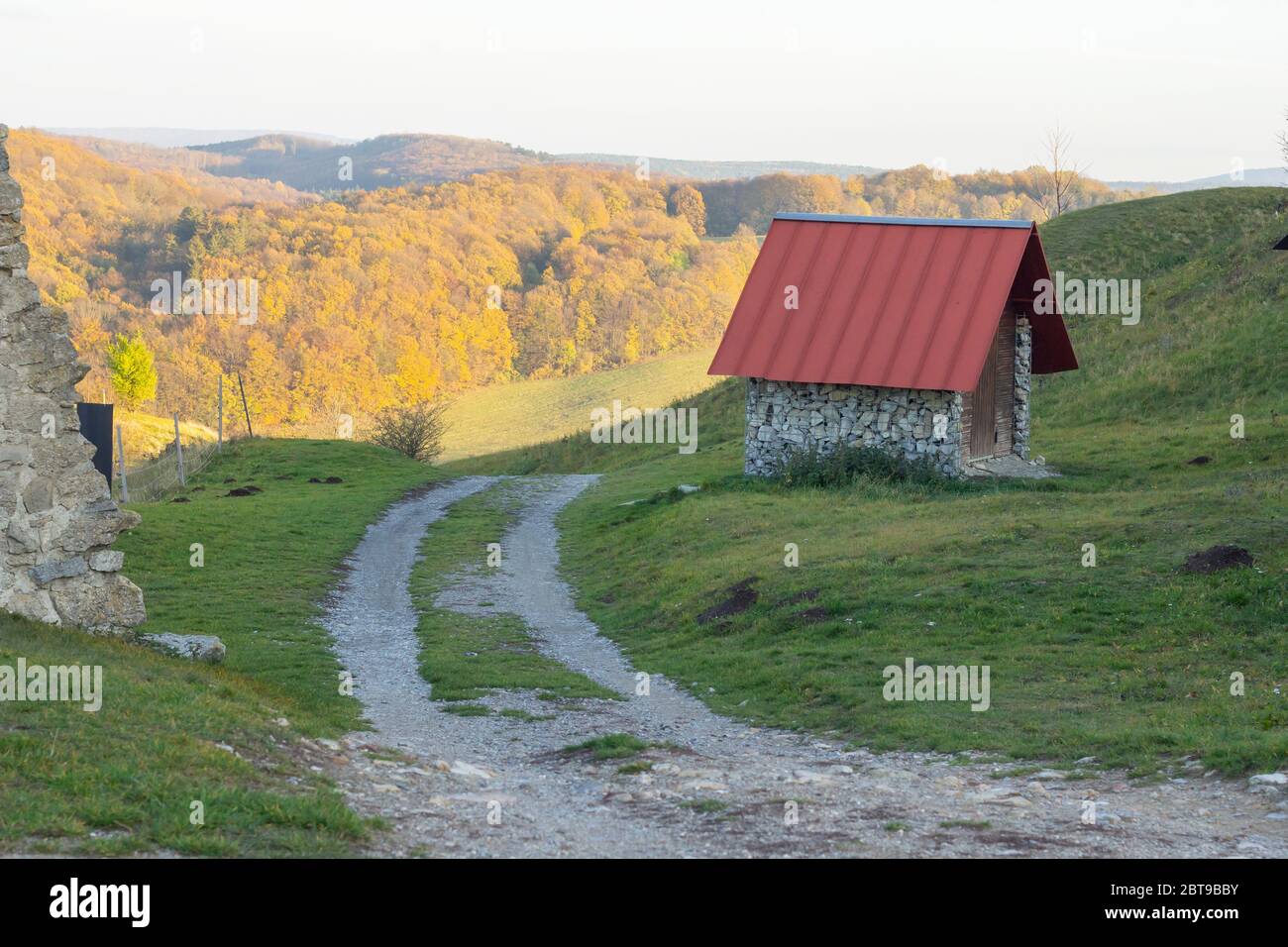 petite cabane avec toit rouge et route de terre dans un beau paysage forestier Banque D'Images