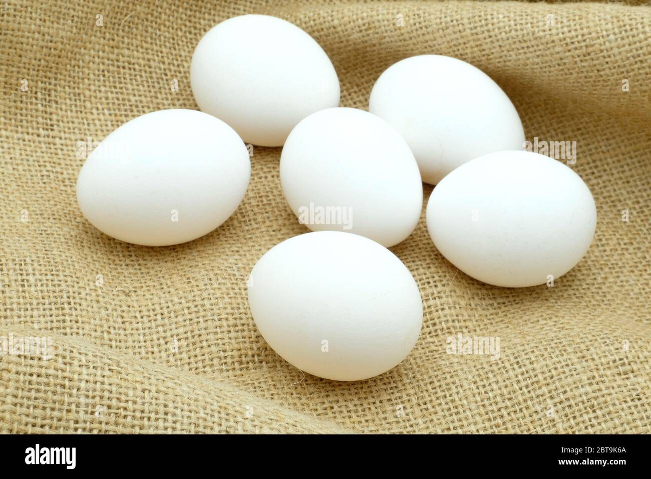 Une demi-douzaine d'œufs blancs à portée libre, assis sur un tissu de hessian Banque D'Images