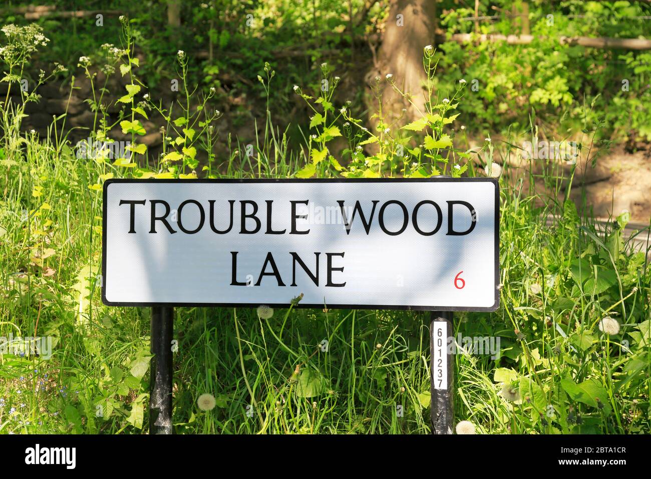 Trouble Wood Lane Road Sign Near Low Bradfield, Sheffield, Peak District National Park, South Yorkshire, Angleterre, Royaume-Uni. Banque D'Images