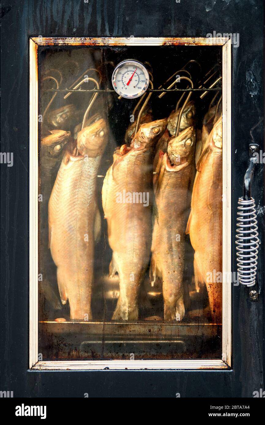 Beaucoup de chartes de couleur dorée (Salvelinus - Saibling) pendent dans un fumeur sur la place principale de Hallstatt, région de Salzkammergut, Autriche Banque D'Images