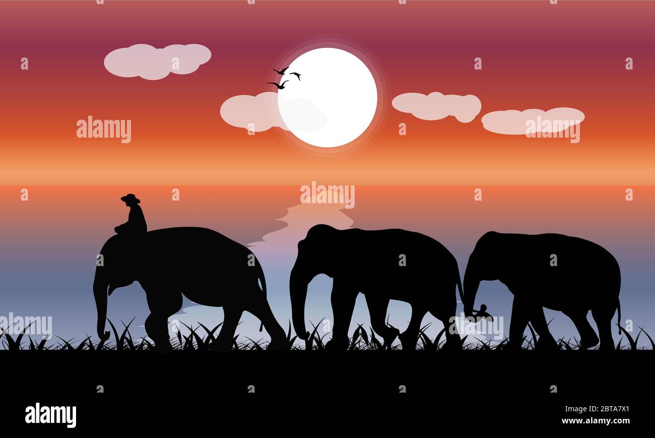Image silhouette crépuscule éléphant noir avec éléphant mahout marche à la plage avec mer et lune fond lumière du soir vecteur Illustration Illustration de Vecteur