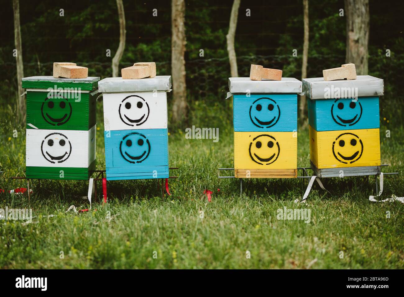Ruches avec logo smiley Banque D'Images
