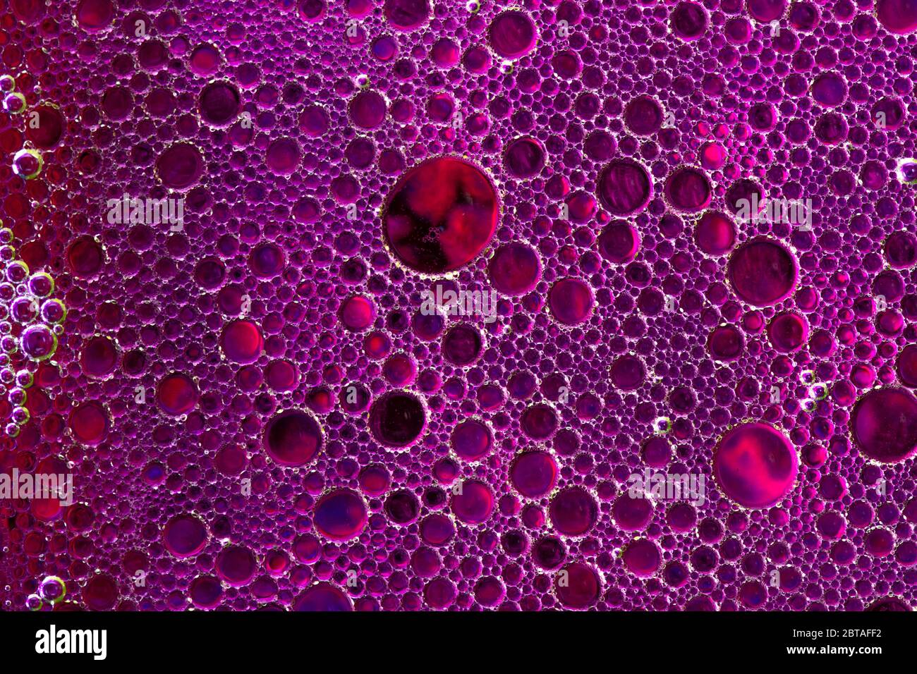 une superbe photo de haut de bulles d'eau liquide, photo macro Banque D'Images