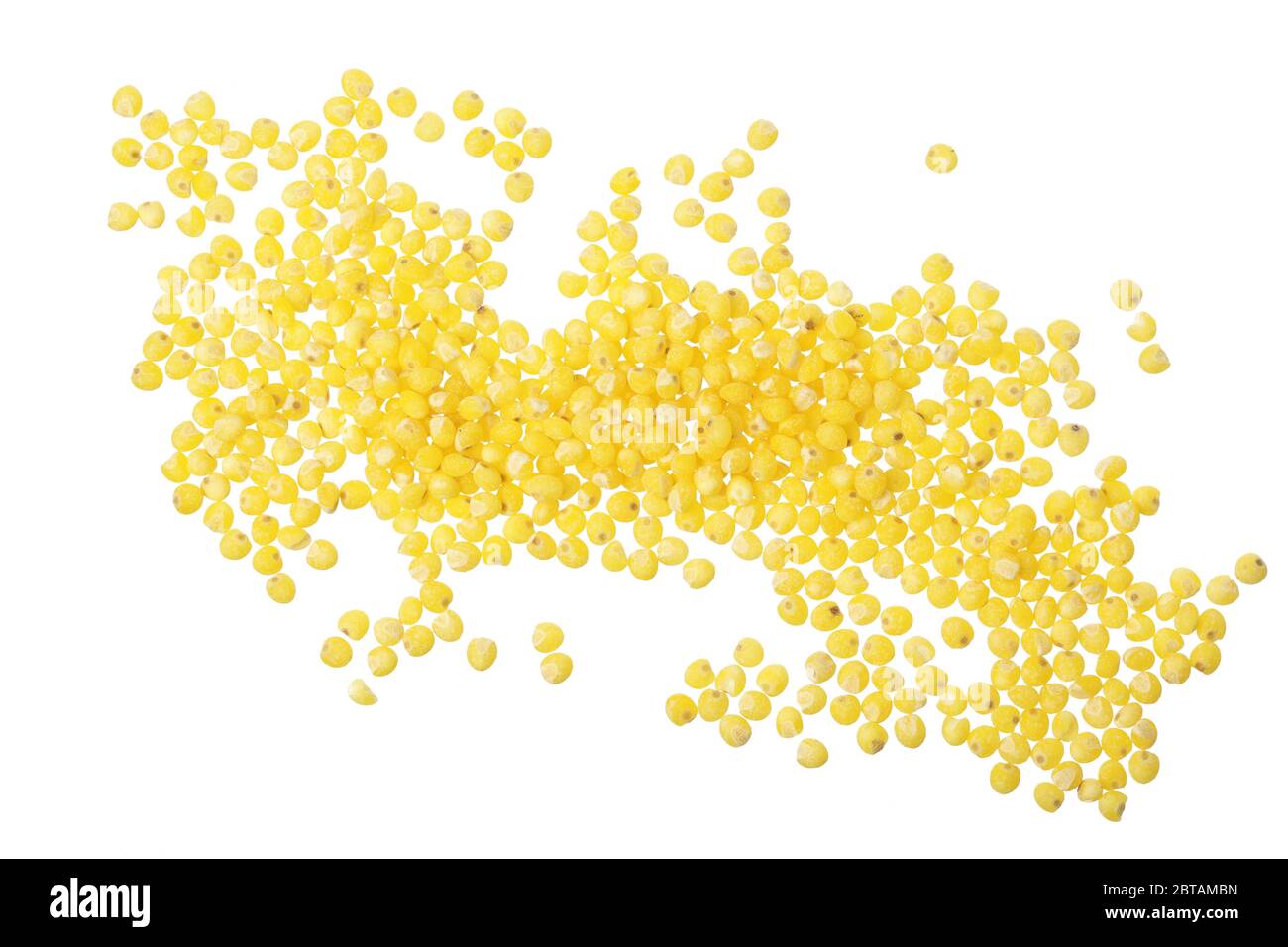 Millet isolé sur fond blanc. Vue d'en haut Banque D'Images